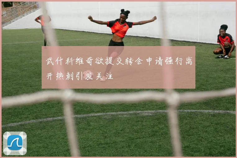 武什科维奇欲提交转会申请强行离开热刺引发关注