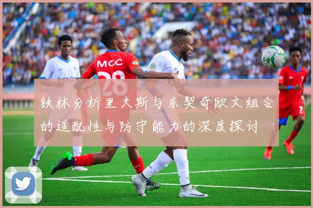 铁林分析里夫斯与东契奇欧文组合的适配性与防守能力的深度探讨